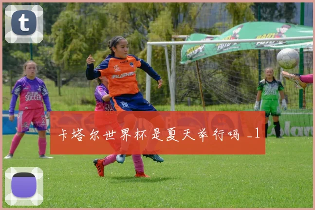 卡塔尔世界杯是夏天举行吗 _1
