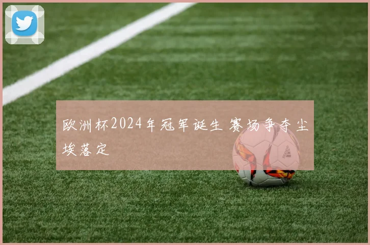 欧洲杯2024年冠军诞生 赛场争夺尘埃落定